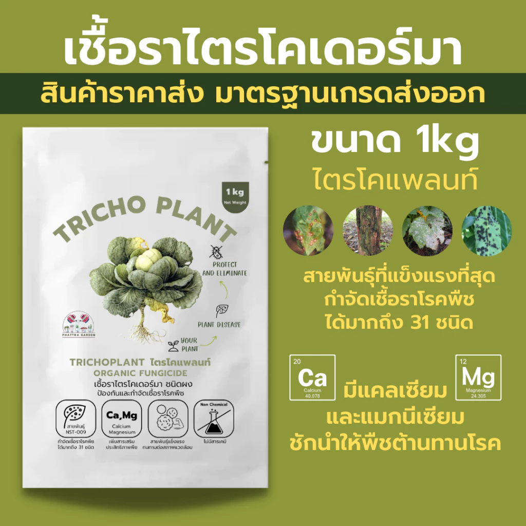 รูปสินค้า ไตรโคเดอร์มา 1kg สำหรับจัดการเชื้อราโรคพืช