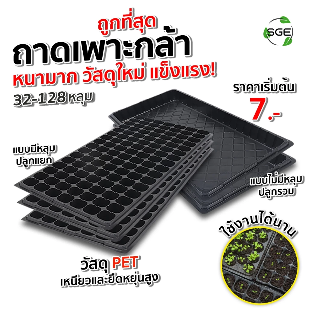 รูปสินค้า SGE ถาดเพาะกล้ารุ่น GT วัสดุ PET หนา ยืดหยุ่น