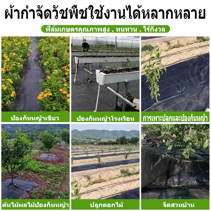 รูปสินค้า พลาสติกคลุมวัชพืชและผ้าคลุมหญ้า ขนาด 1x5 ถึง 3x50 เมตร
