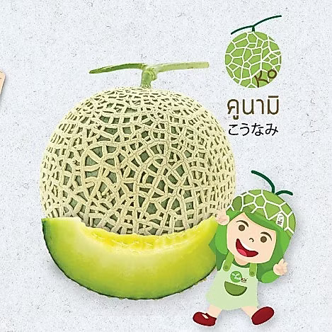 รูปสินค้า เมล็ดเมล่อนญี่ปุ่น คูนามิ 10 เมล็ด
