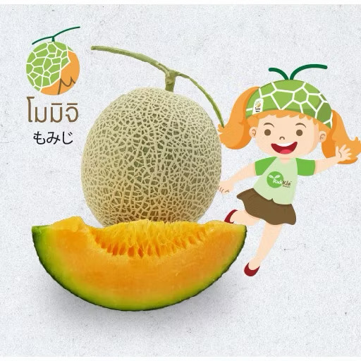 รูปสินค้า เมล็ดเมล่อนญี่ปุ่นพันธุ์โมมิจิ 10 เมล็ด