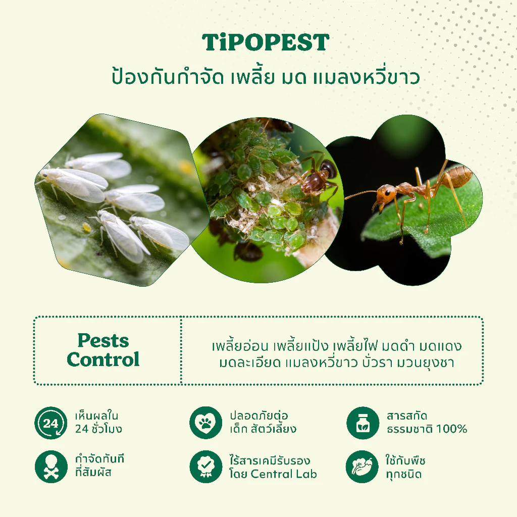 รูปสินค้า Tipopest สารสกัดควบคุมเพลี้ยอ่อน เพลี้ยแป้ง เพลี้ยไฟ มด และแมลงหวี่ขาว 500ml/1L